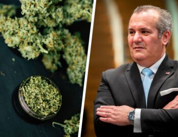“Nessun lavoratore dovrebbe essere discriminato per l’uso responsabile della cannabis”