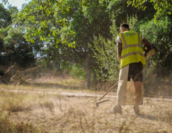 GWU ottiene il riconoscimento dei dipendenti con Project Green