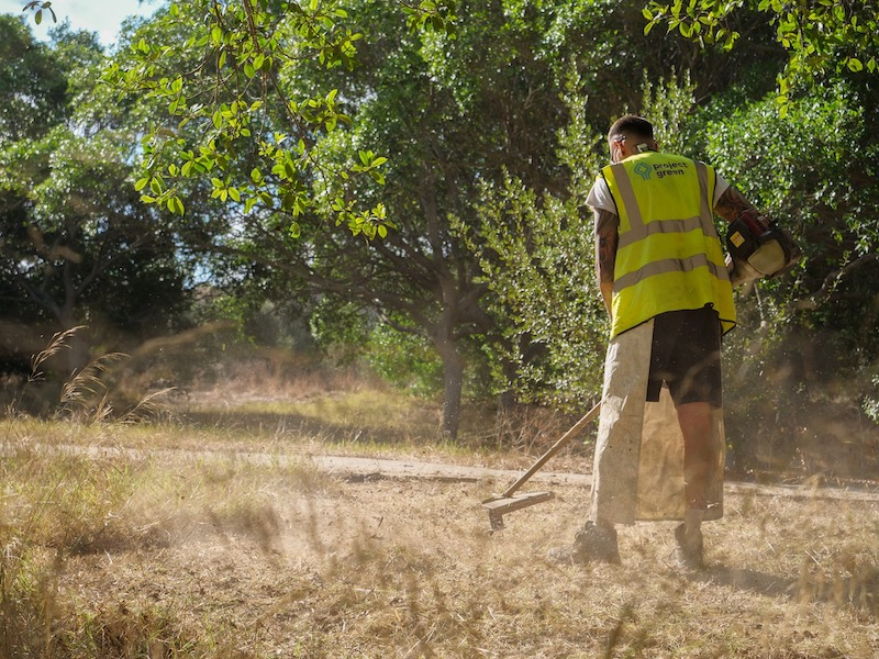 GWU ottiene il riconoscimento dei dipendenti con Project Green